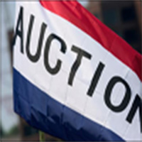 auction flag